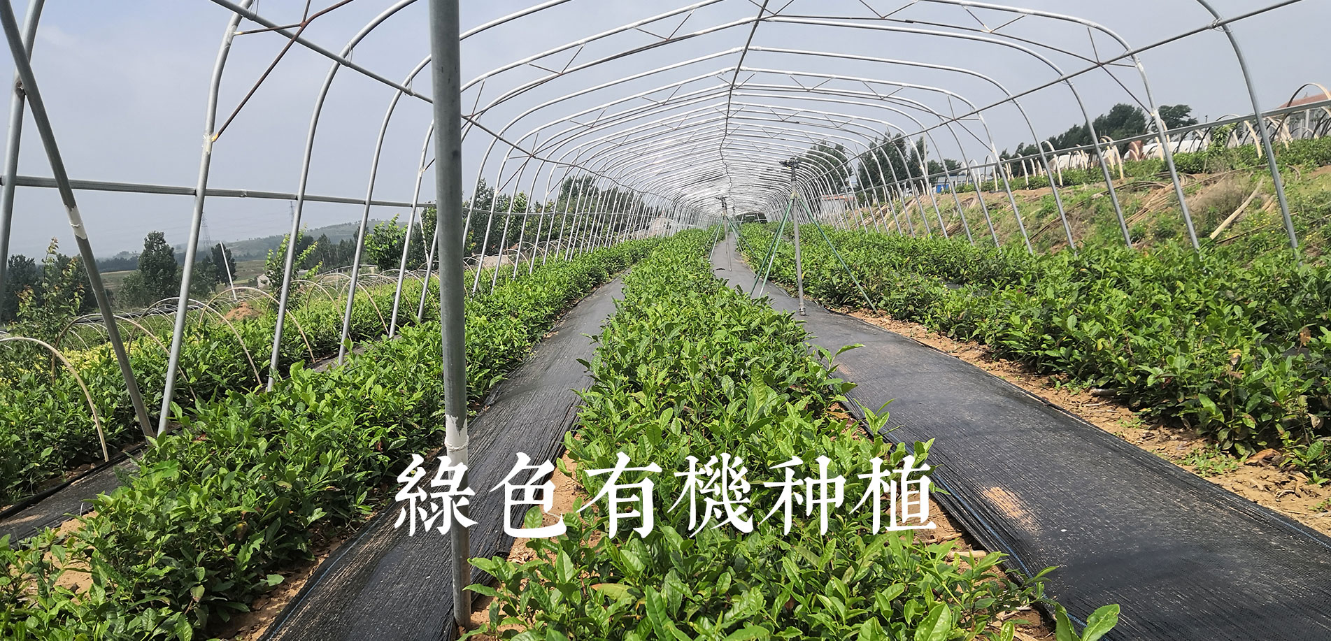 濰坊聚成空氣動(dòng)力機(jī)械有限公司